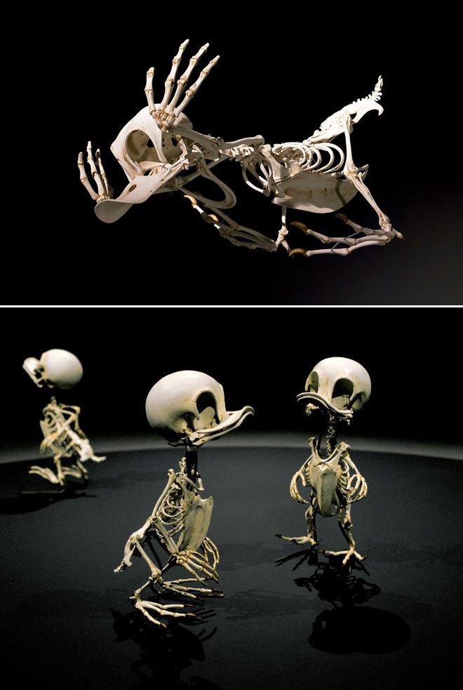 Скелеты мульт-героев